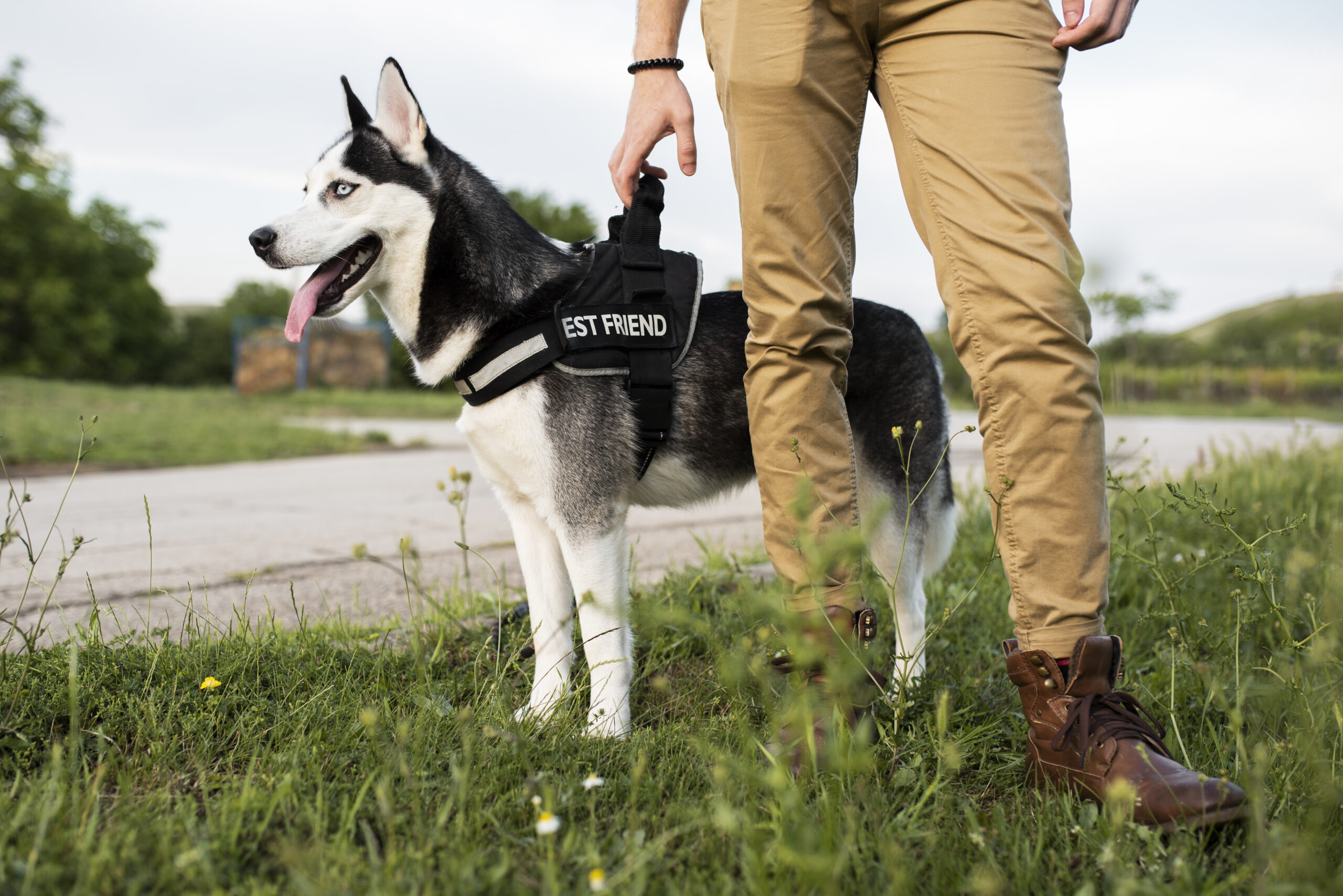 close up hand holding dog s leash scaled